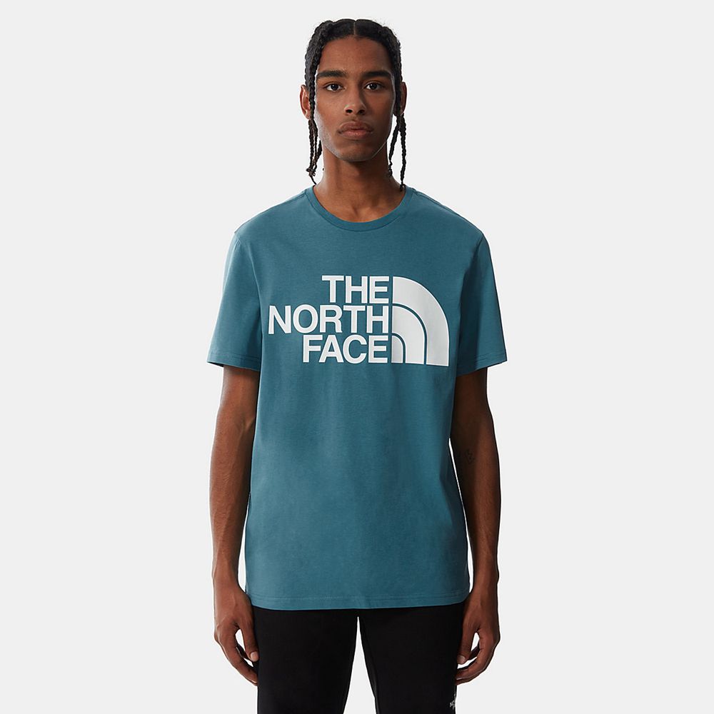 The North Face T-Shirts Mens Australia - The North Face Standard Blue (GXK-803716)